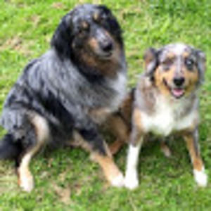 Meet your Posher, Tomarra